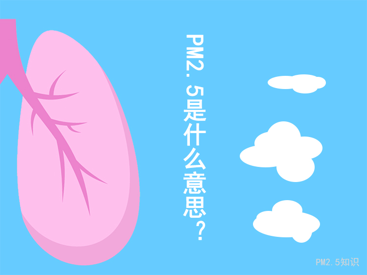 <a href='tech-sensor-11.html' target='_blank'><u>PM2.5是什么</u></a>意思？PM2.5污染-金年会 金字招牌